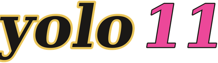 yolo11 logo